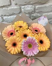 Букет цветов из:  Герберы #REPLACE_PRED# Новом Торъяле