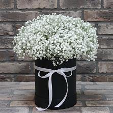 Цветочная композиция из Гипсофила в шляпной коробке в Новом Торъяле
